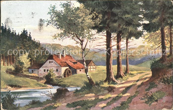 Wassermuehle Verlag-WS-SB-Nr. 5676 Wald Baeume
