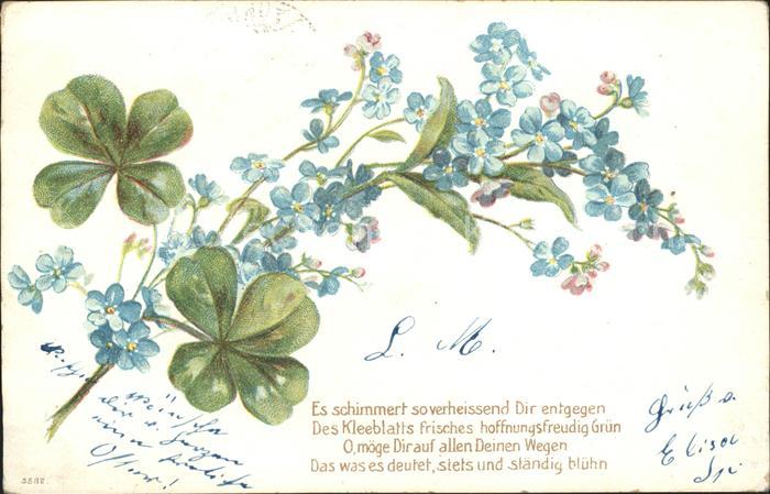 Blumengruesse Kleeblaetter Vergissmeinnicht Gedicht Litho