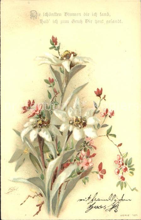 Blumengruesse Edelweiss Litho