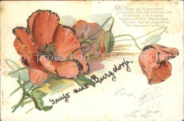 Blumen Mohnblumen Litho Gedicht