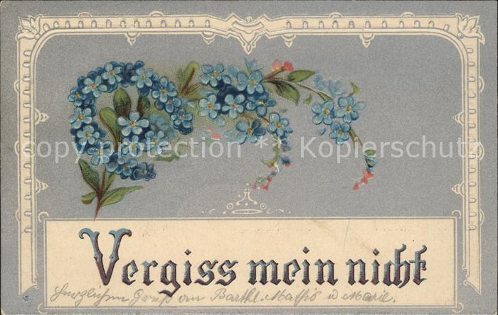 Blumen Vergissmeinnicht Hufeisen Litho