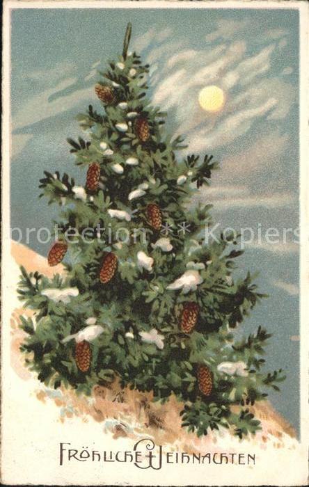 Tannenzapfen Tannenbaum Weihnachten Litho