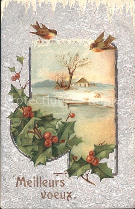 Weihnachten Stechpalme Voegel Litho