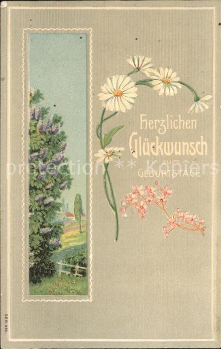 Geburtstag Margeriten