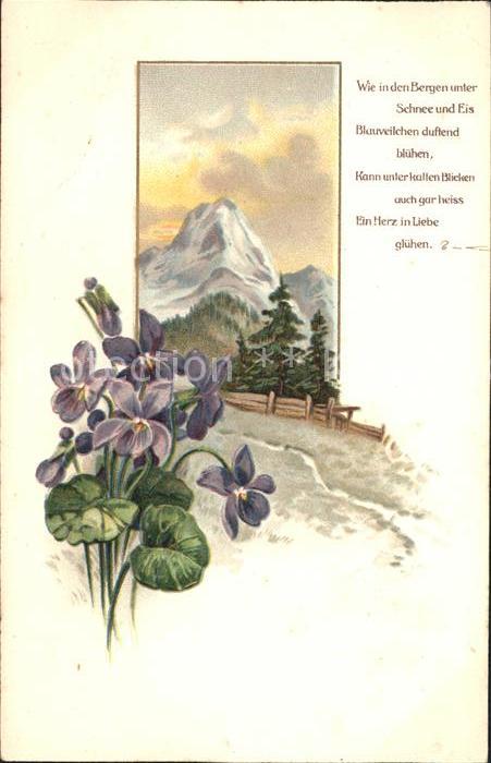 Blumen Veilchen Berg Gedicht Litho