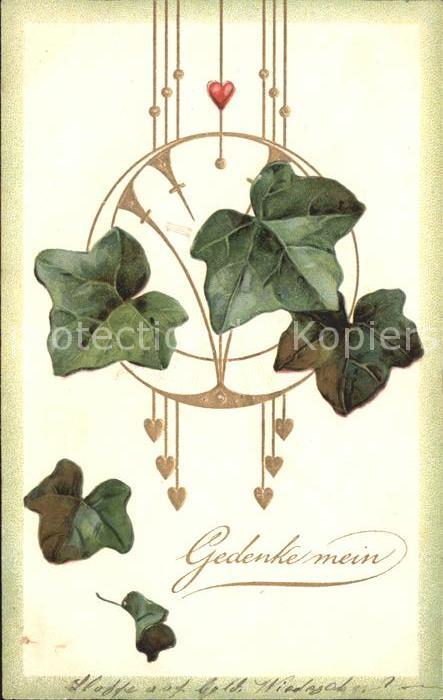 Pflanzen Efeu Herz
