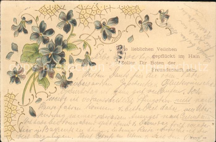 Blumen Veilchen Gedicht Freundschaft