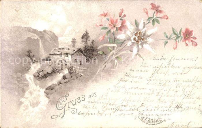 Edelweiss Alpenrosen Wassermühle Litho