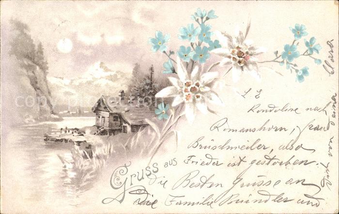 Edelweiss Vergissmeinnicht Wassermühle Litho