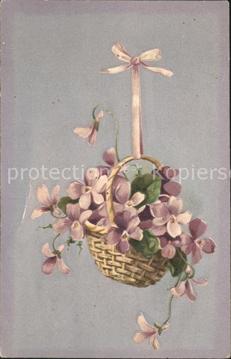 Blumen Veilchen Korb