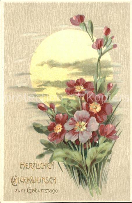 Geburtstag Sonne Primeln Litho