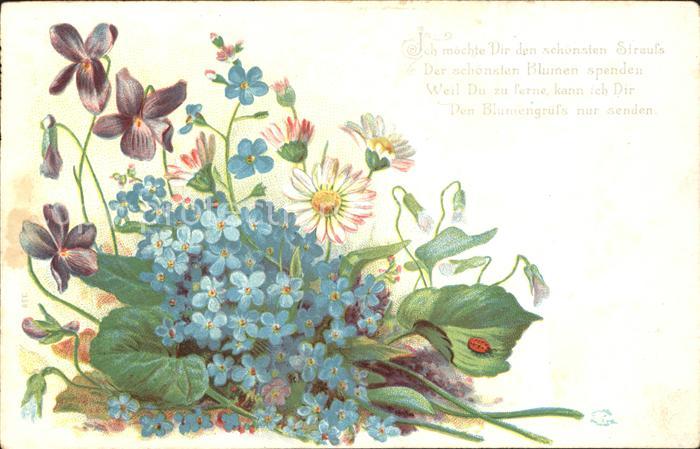 Marienkaefer Veilchen Gaensebluemchen Vergissmeinnicht Gedicht Litho