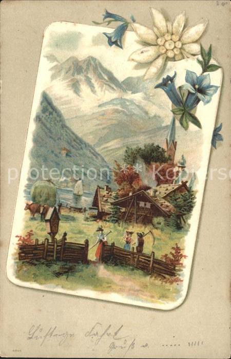 Edelweiss Enzian Berge Natur Landwirtschaft Litho