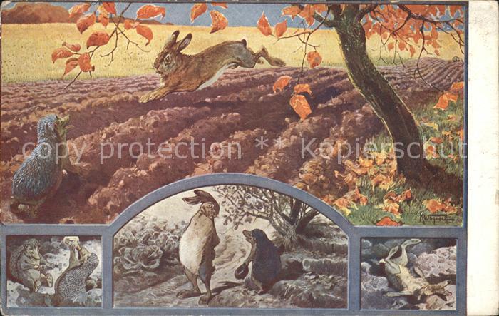 Maerchen Sagen Der Hase und der Igel