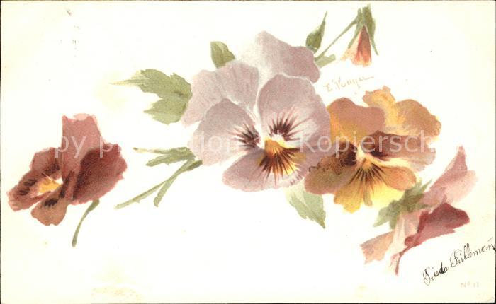 Blumen Stiefmütterchen