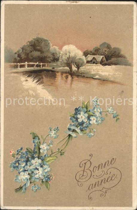 Neujahr Vergissmeinnicht Litho