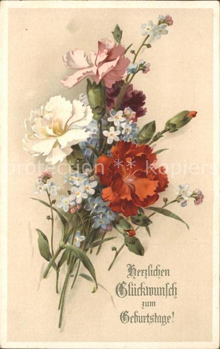 Geburtstag Glückwunsch Nelken Vergissmeinnicht Lit