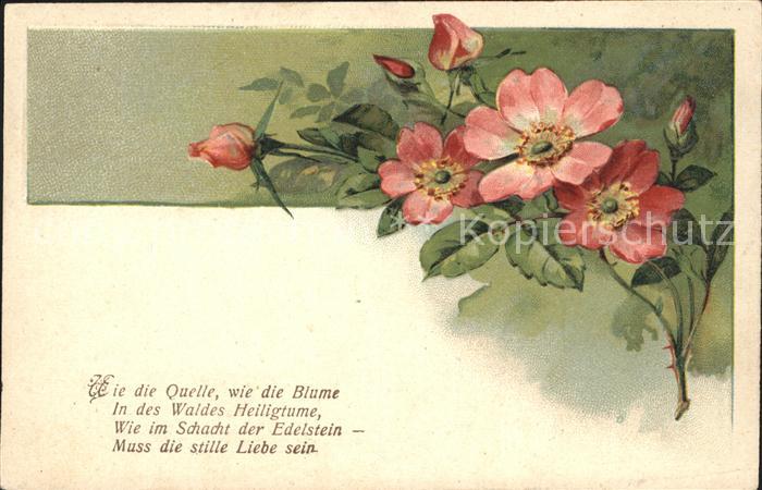 Rosen Gedicht Litho