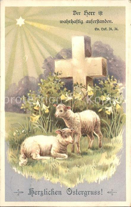Ostern Easter Paques Schafe Kreuz Narzissen Litho
