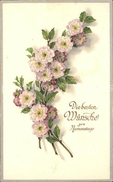 Namenstag Namenskarte Glueckwunsch Blumen Litho
