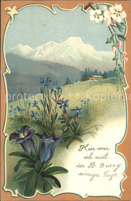 Berge Natur Enzian Litho
