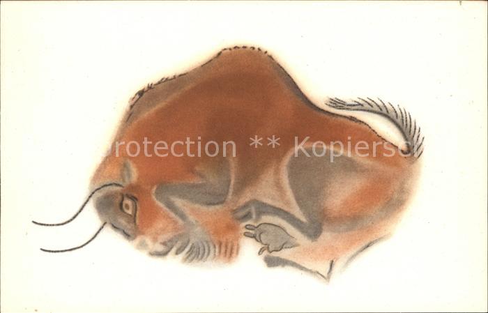 Tiere Bison Bisonte hembra echada Cueva Altam