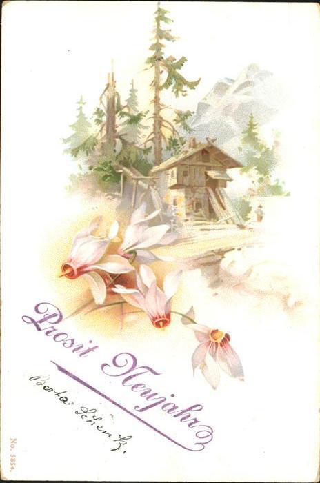 Neujahr Alpenveilchen Berge Natur Litho