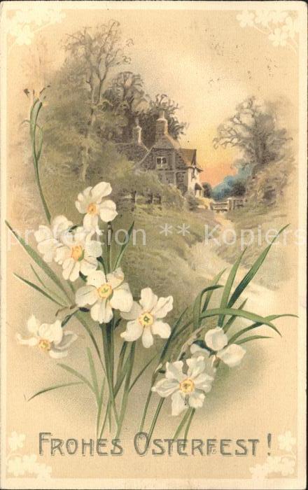 Ostern Easter Paques Dichternarzissen