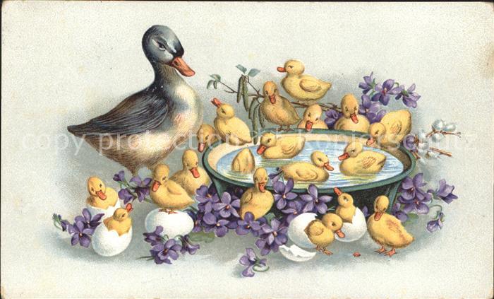 Enten Kueken Veilchen Weidenkaetzchen Litho