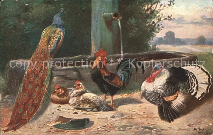 Gefluegel Pfau Huehner Hahn Truthahn Holztrog Kuenstlerkarte