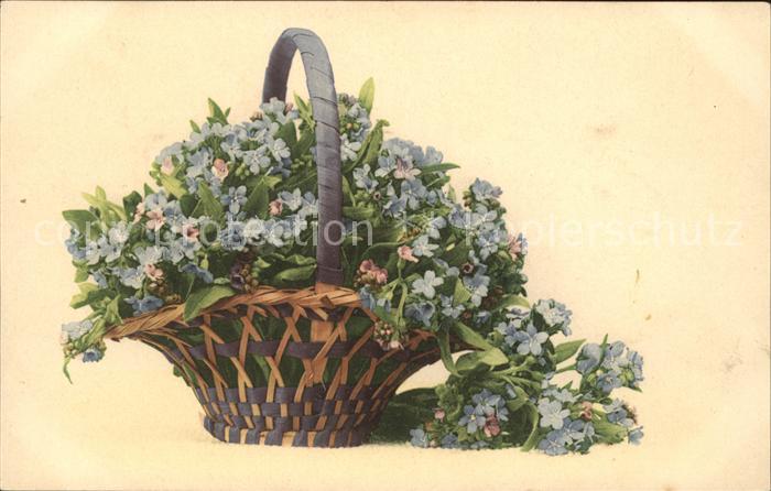Blumen Vergissmeinnicht Korb