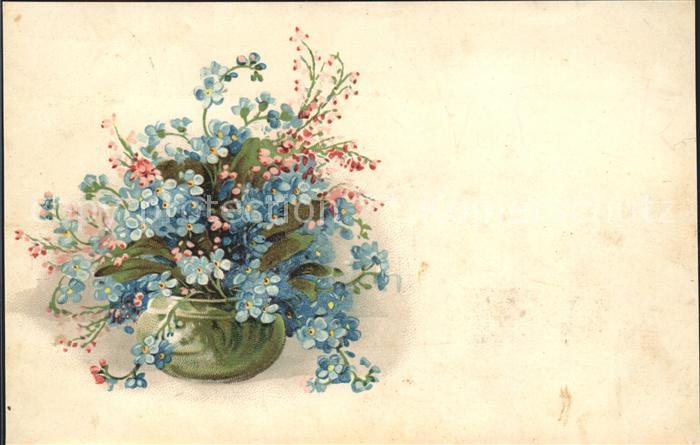 Blumen Vergissmeinnicht Vase Litho