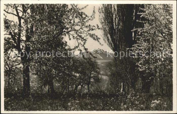 Riehen Blick auf Tuellilngen