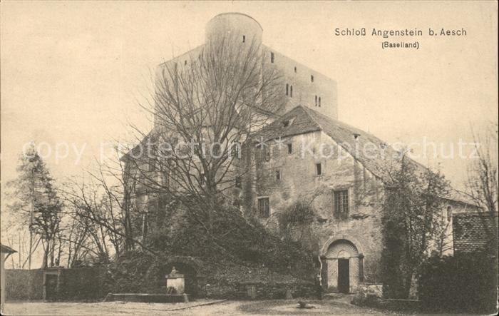 Aesch BL Schloss Angenstein