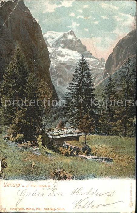 Toedi Uelialp