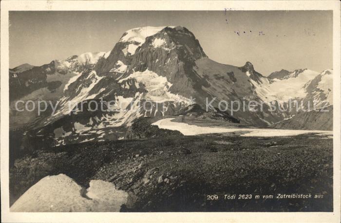 Toedi Fridolinshütte Zutreibistock