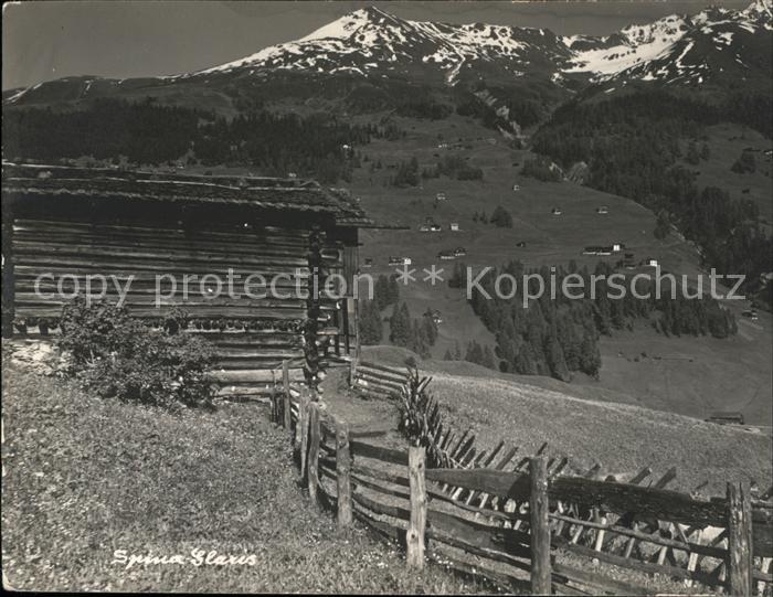 Spina Glaris