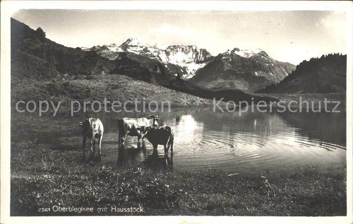 Kuehe Oberblegisee Hausstock