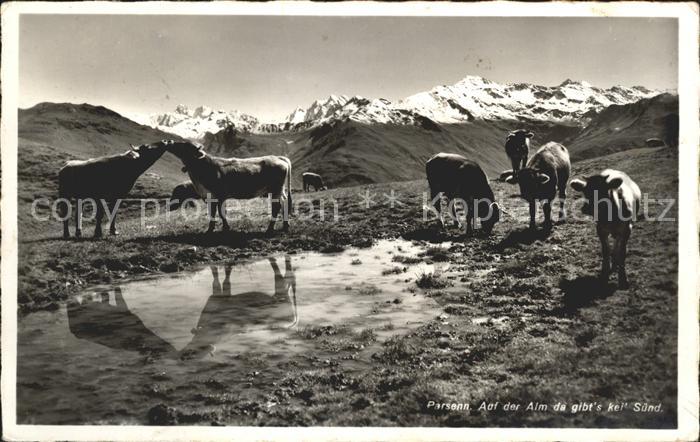 Kuehe Alm Parsenn