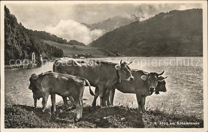 Kuehe Kloentalersee
