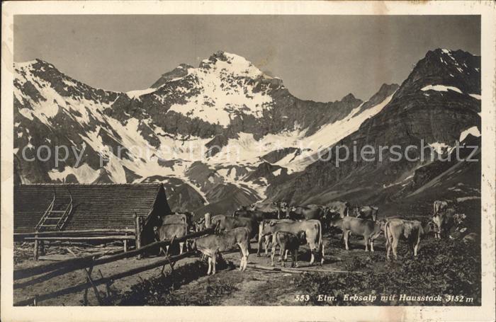 Kuehe Erbsalp Hausstock