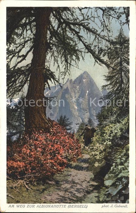Foto Gaberell J. Nr. 4301 Weg zur Albignahütte Bergell