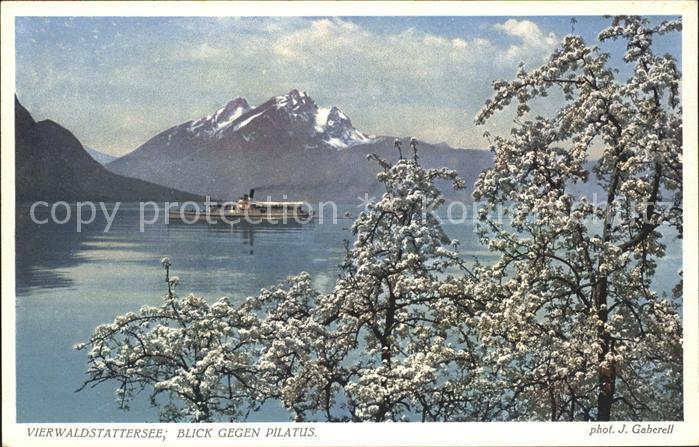 Foto Gaberell J. Nr. 5480 Vierwaldstättersee Pilatus Dampfer