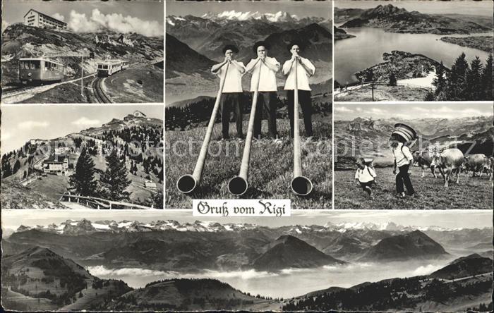 Alphorn Alphornblaeser Rigi Zahnradbahn Kuehe