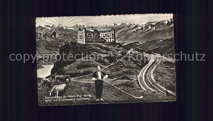 Alphorn Alphornbläser Hotel Rigi-Kulm Kühe