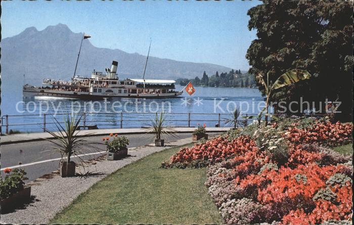 Dampfer Seitenrad Weggis Vierwaldstaettersee Hotelpark Seestrasse Pilatus