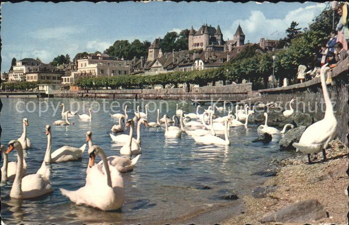 Schwan Nyon Quai Chateau