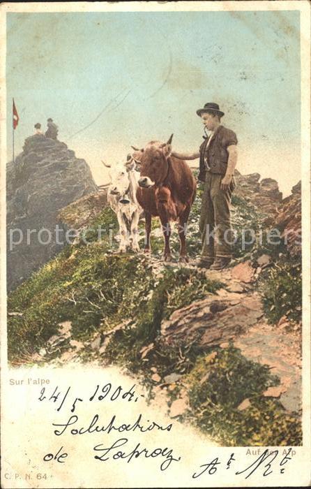 Kuehe Hirte Pfeife Alpen