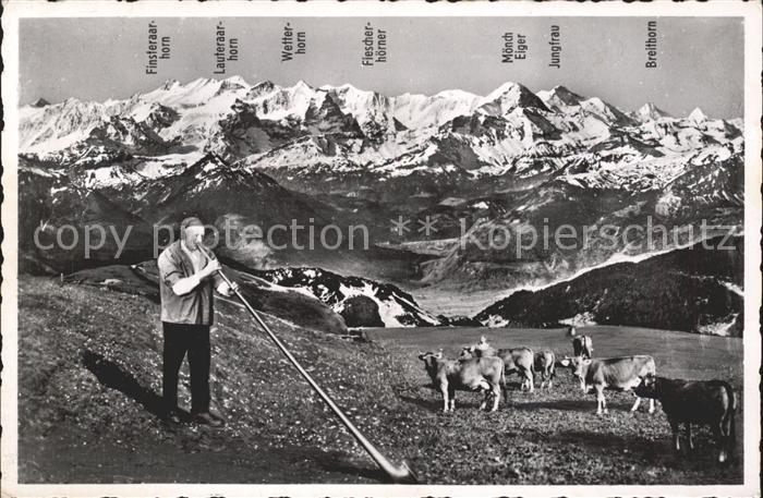 Alphorn Preialphornblaeser Josef Kuster Kuehe Pilatus-Kulm Berneralpen