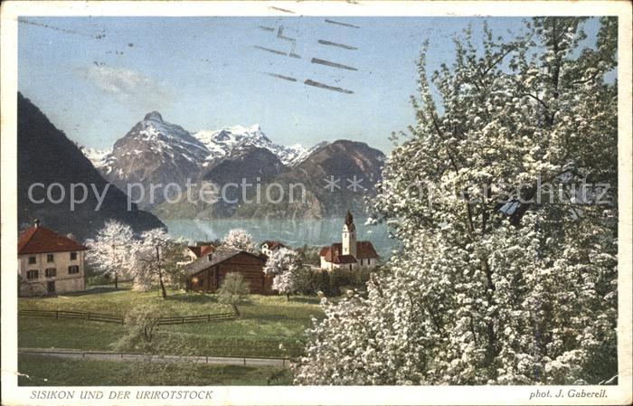 Foto Gaberell J. Nr. 2315 Sisikon Urirotstock